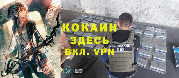 мет Бородино