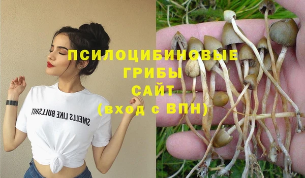 шишки Бронницы