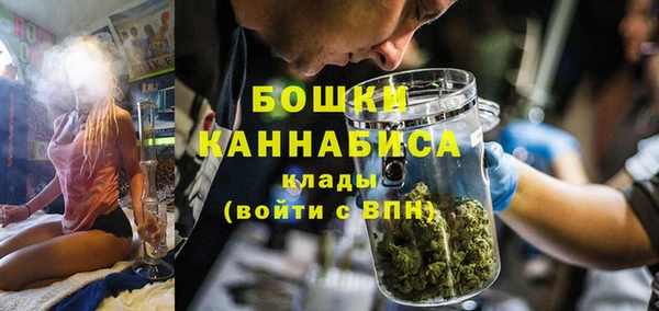мет Бородино