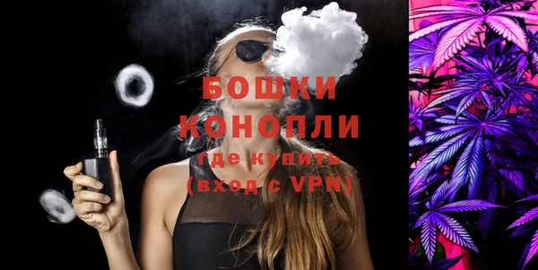 шишки Бронницы