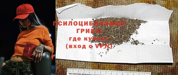мет Бородино