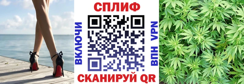 гидра tor  как найти   Златоуст  Конопля семена 